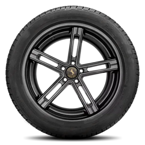 Continental Contiwintercontact TS 830 P 225/50R17