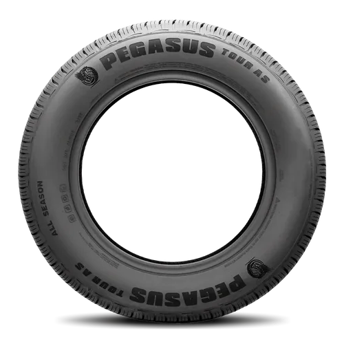 Pegasus Tour AS 205/65R15